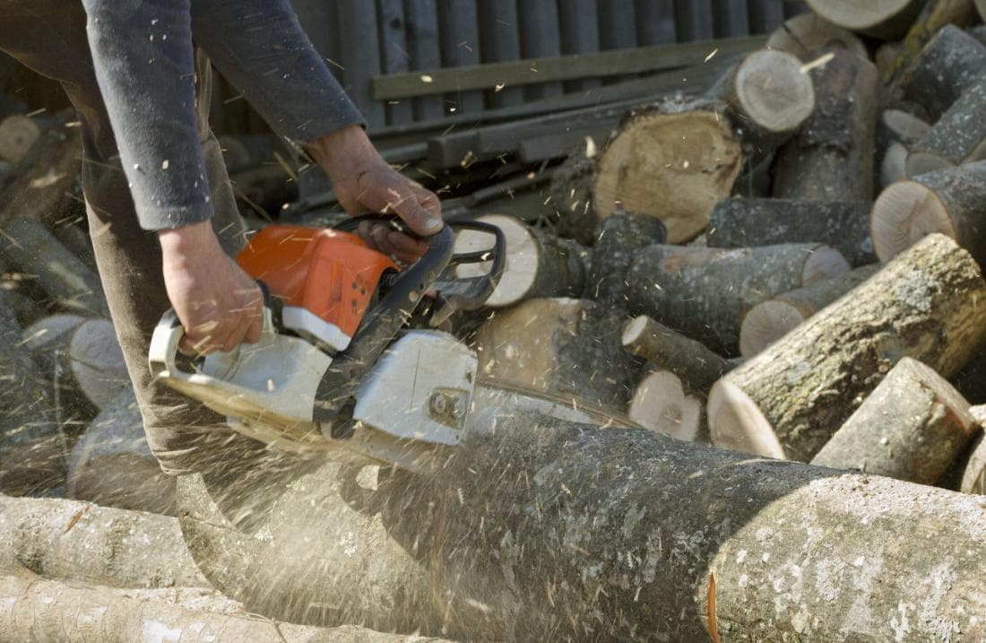Mansfield Tree Service Pros crew at work