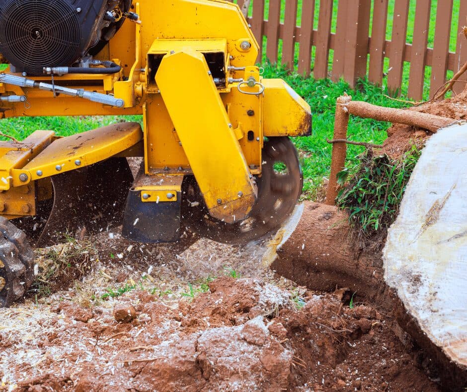 Stump Grinding vs Full Excavation