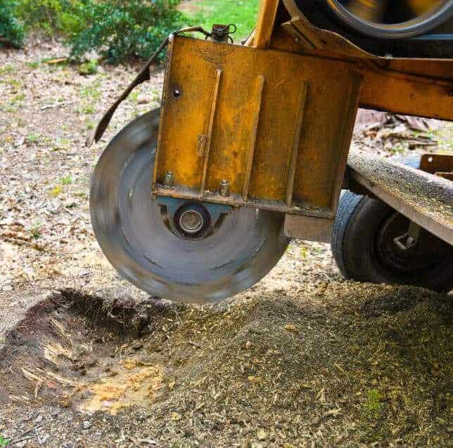 Stump Grinding