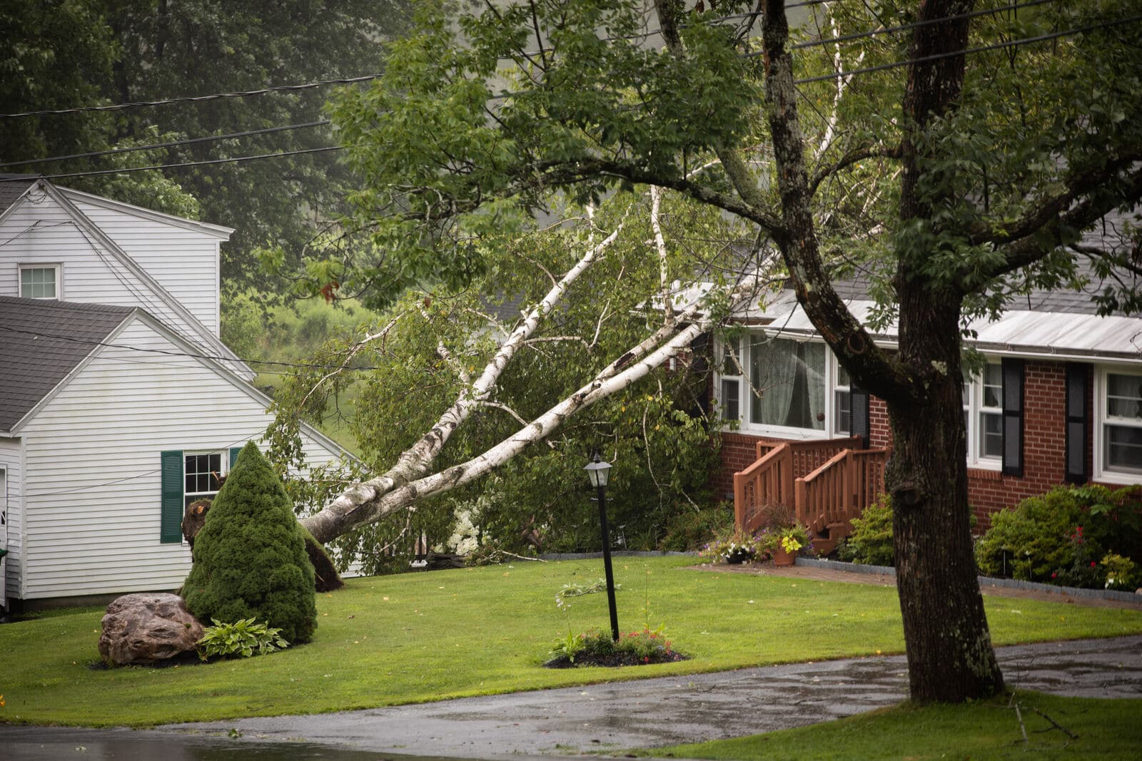 Large storm-damaged tree fallen onto a house roof after a summer storm